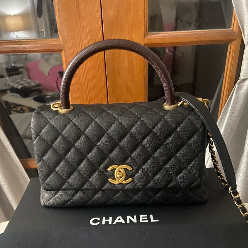CHANEL Python-Trimmed Medium Coco Handle Bag